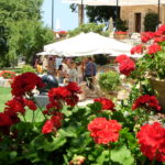 Festival Posidonia Mallorca 2016