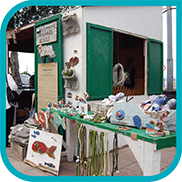 Posidonia Festival Eco-Fair