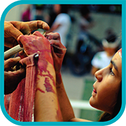 Posidonia Educational Posidonia Educational