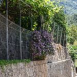 Festival Posidonia Mallorca 2017