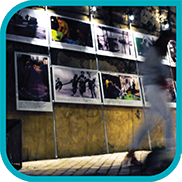 Posidonia visual-arts Posidonia visual-arts