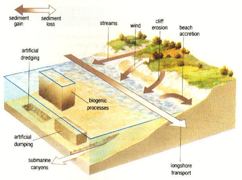 Posidonia Oceanica and sea and dunes ecosystem preservation Posidonia Oceanica and sea and dunes ecosystem preservation